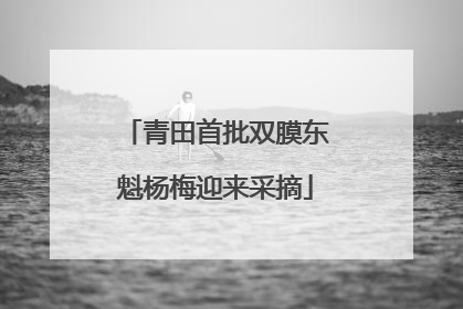青田首批双膜东魁杨梅迎来采摘