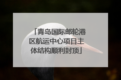 青岛国际邮轮港区航运中心项目主体结构顺利封顶