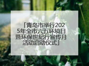 青岛市举行2025年全市六五环境日暨环保世纪行宣传月活动启动仪式
