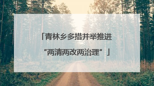 青林乡多措并举推进“两清两改两治理”