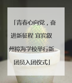 青春心向党，奋进新征程 宜宾叙州樟海学校举行新团员入团仪式