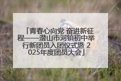 青春心向党 奋进新征程——潜山市河镇初中举行新团员入团仪式暨 2025年度团员大会