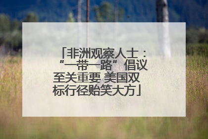 非洲观察人士：“一带一路”倡议至关重要 美国双标行径贻笑大方