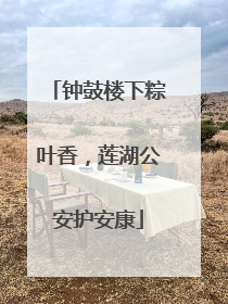 钟鼓楼下粽叶香，莲湖公安护安康
