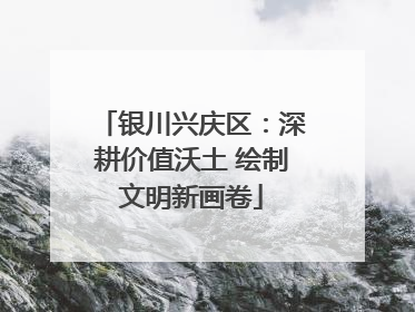 银川兴庆区：深耕价值沃土 绘制文明新画卷