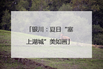 银川：夏日“塞上湖城”美如画