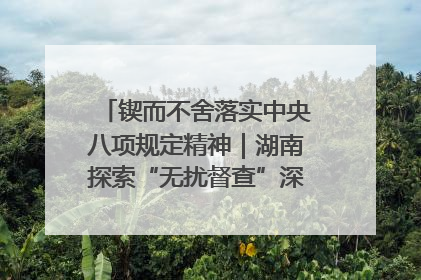 锲而不舍落实中央八项规定精神｜湖南探索“无扰督查”深化基层减负