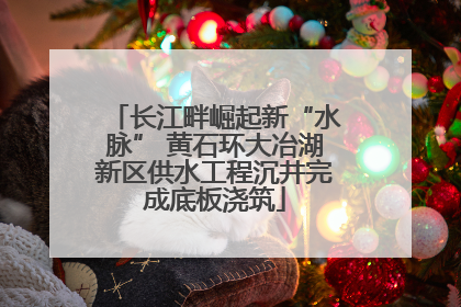 长江畔崛起新“水脉” 黄石环大冶湖新区供水工程沉井完成底板浇筑