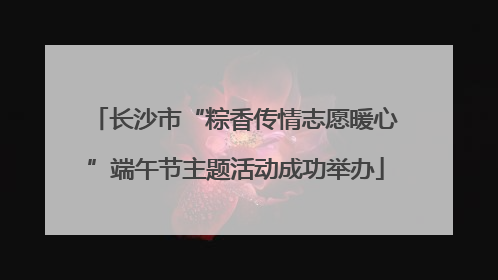 长沙市“粽香传情志愿暖心”端午节主题活动成功举办