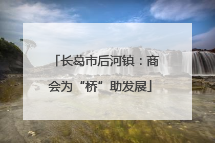 长葛市后河镇：商会为“桥”助发展