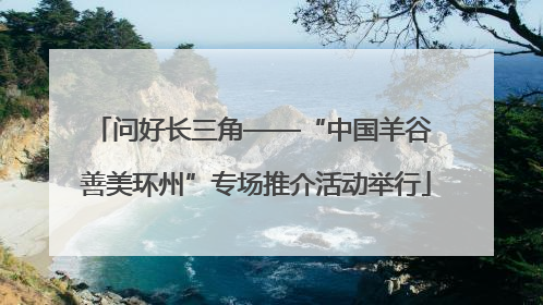 问好长三角——“中国羊谷 善美环州”专场推介活动举行