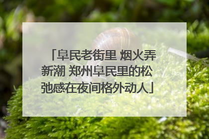 阜民老街里 烟火弄新潮 郑州阜民里的松弛感在夜间格外动人