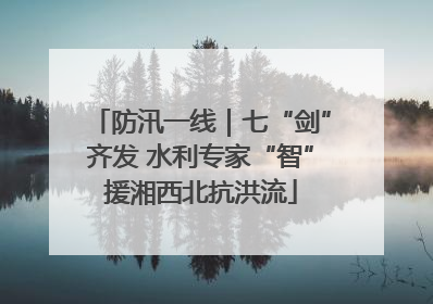 防汛一线｜七“剑”齐发 水利专家“智”援湘西北抗洪流