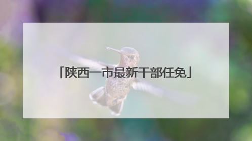 陕西一市最新干部任免