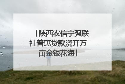 陕西农信宁强联社普惠贷款浇开万亩金银花海