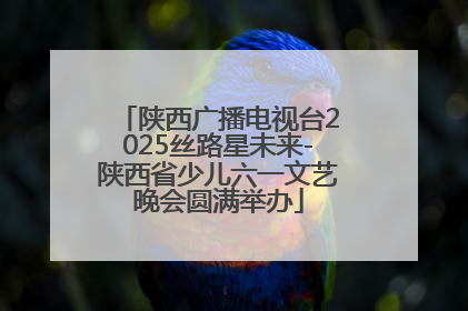 陕西广播电视台2025丝路星未来-陕西省少儿六一文艺晚会圆满举办
