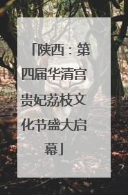 陕西：第四届华清宫贵妃荔枝文化节盛大启幕