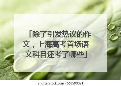 除了引发热议的作文，上海高考首场语文科目还考了哪些