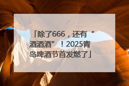 除了666，还有“酒酒酒”！2025青岛啤酒节首发燃了