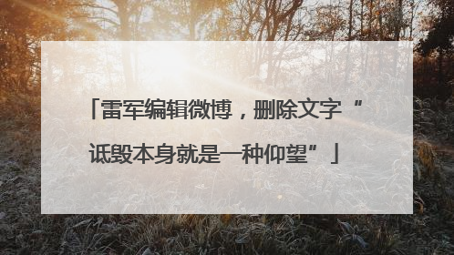雷军编辑微博，删除文字“诋毁本身就是一种仰望”