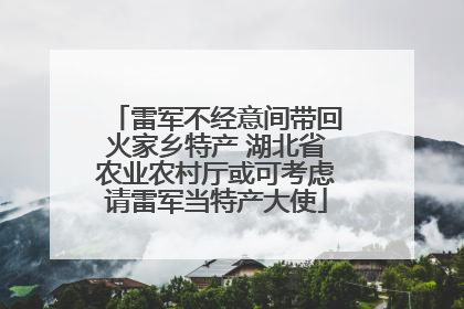 雷军不经意间带回火家乡特产 湖北省农业农村厅或可考虑请雷军当特产大使