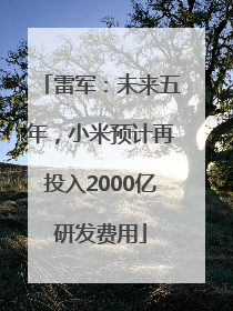 雷军：未来五年，小米预计再投入2000亿研发费用