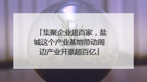 集聚企业超百家，盐城这个产业基地带动周边产业开票超百亿