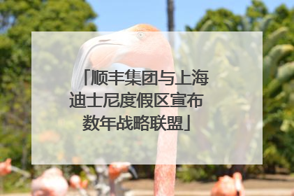 顺丰集团与上海迪士尼度假区宣布数年战略联盟