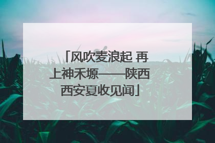 风吹麦浪起 再上神禾塬——陕西西安夏收见闻