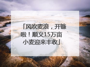 风吹麦浪，开镰啦！顺义15万亩小麦迎来丰收