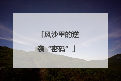 风沙里的逆袭“密码”