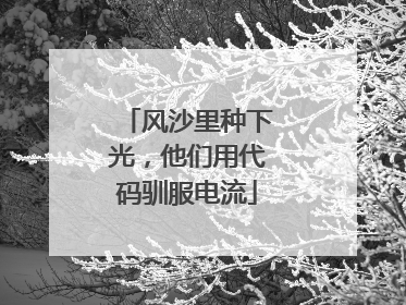 风沙里种下光，他们用代码驯服电流