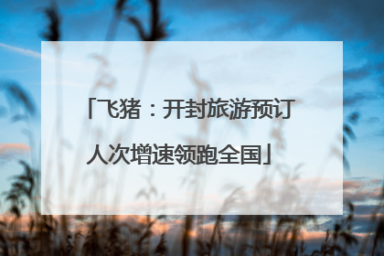 飞猪：开封旅游预订人次增速领跑全国