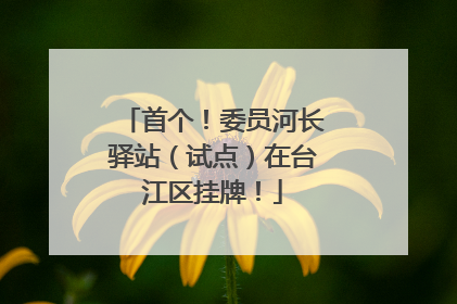 首个！委员河长驿站（试点）在台江区挂牌！