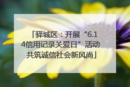 驿城区：开展“6.14信用记录关爱日”活动 共筑诚信社会新风尚