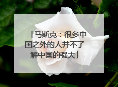 马斯克：很多中国之外的人并不了解中国的强大