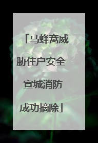 马蜂窝威胁住户安全 宣城消防成功摘除