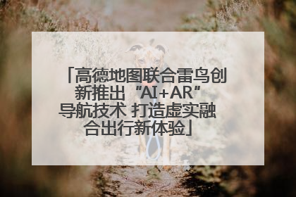 高德地图联合雷鸟创新推出“AI+AR”导航技术 打造虚实融合出行新体验