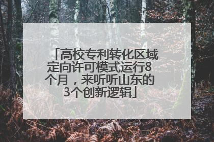高校专利转化区域定向许可模式运行8个月，来听听山东的3个创新逻辑