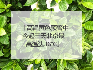 高温黄色预警中 今起三天北京最高温达36℃