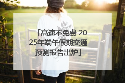 高速不免费 2025年端午假期交通预测报告出炉
