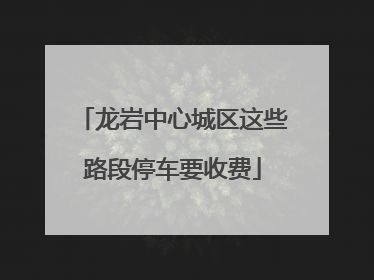 龙岩中心城区这些路段停车要收费