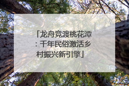 龙舟竞渡桃花潭：千年民俗激活乡村振兴新引擎