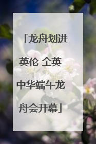 龙舟划进英伦 全英中华端午龙舟会开幕