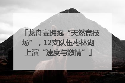 龙舟赛拥抱“天然竞技场”，12支队伍枣林湖上演“速度与激情”