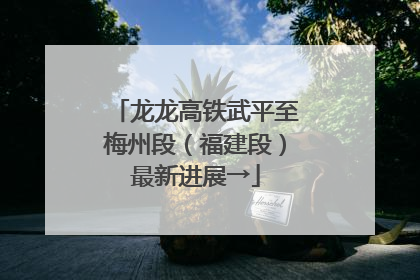龙龙高铁武平至梅州段（福建段）最新进展→