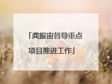 龚振宙督导重点项目推进工作