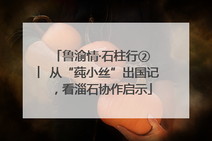 鲁渝情·石柱行② ︳从“莼小丝”出国记，看淄石协作启示