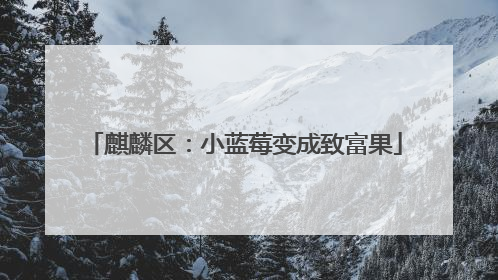 麒麟区：小蓝莓变成致富果