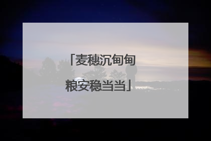 麦穗沉甸甸 粮安稳当当